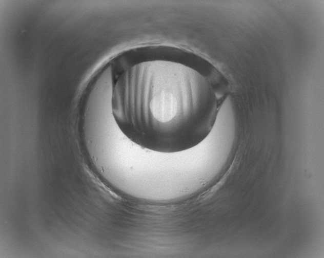 X0000068821502200605191819