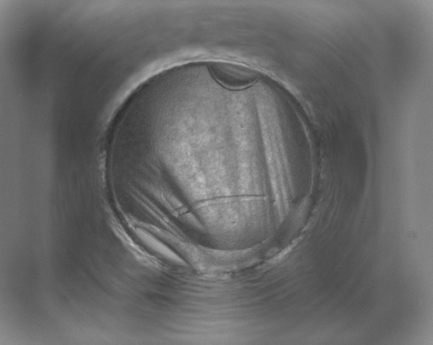 X0000068821503200605191819