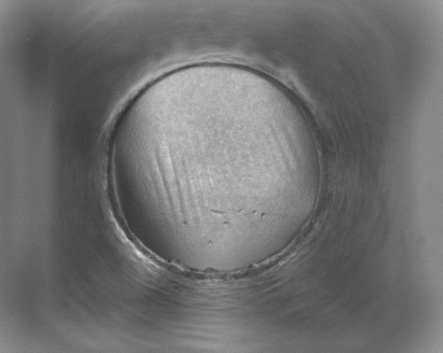 X0000068821504200605191819