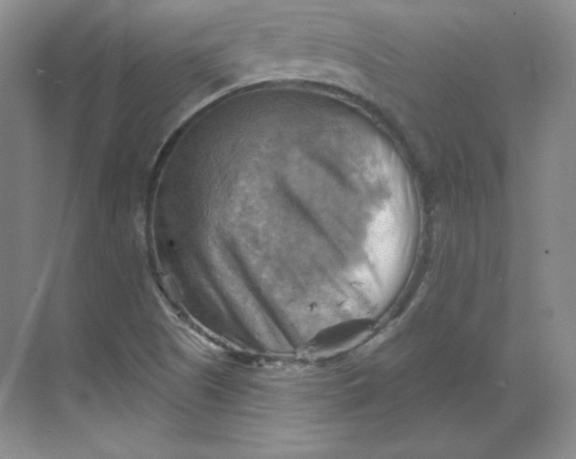 X0000068821505200605191819