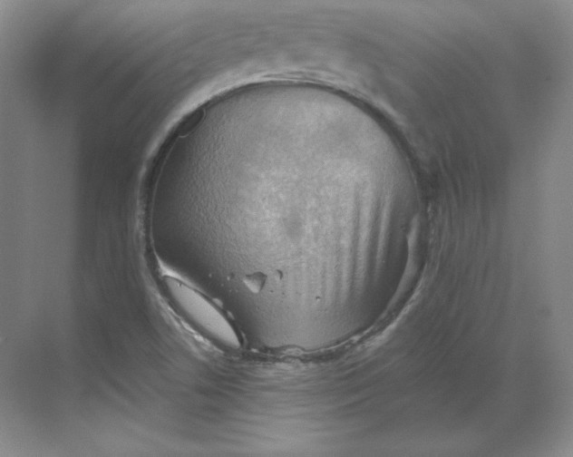 X0000068821506200605191819