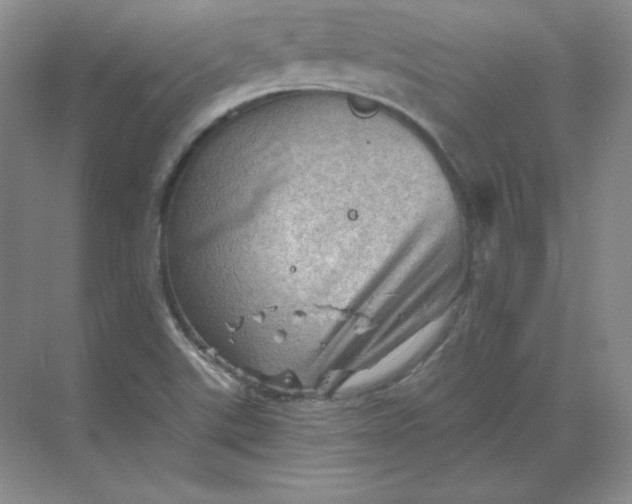 X0000068821507200605191819