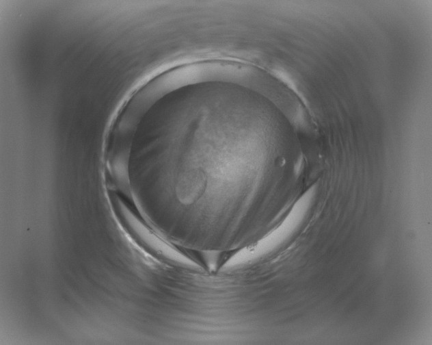 X0000068821508200605191819