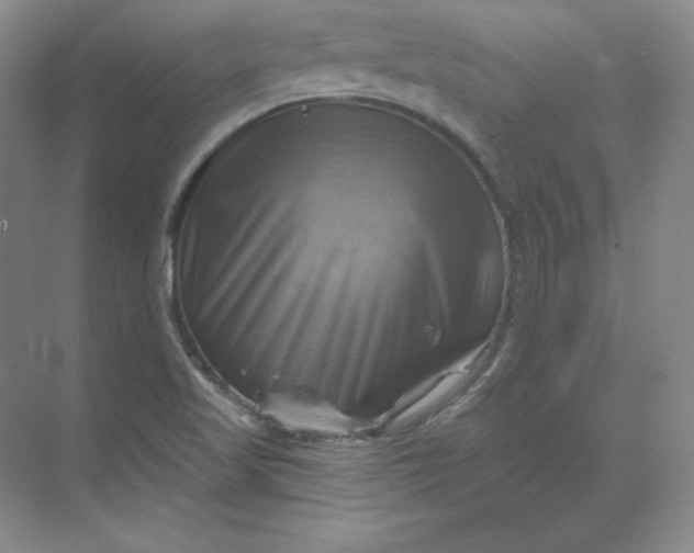 X0000068821509200605191819