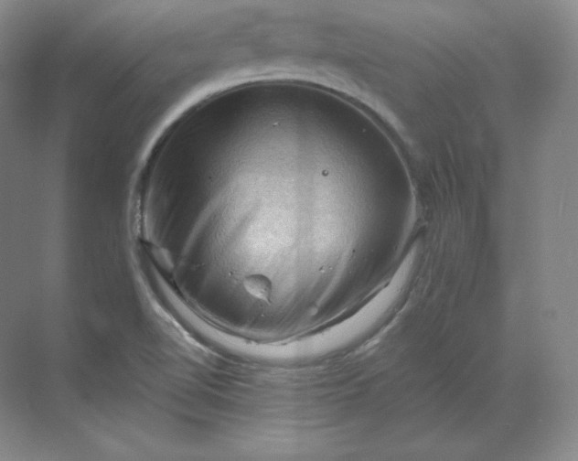 X0000068821510200605191819