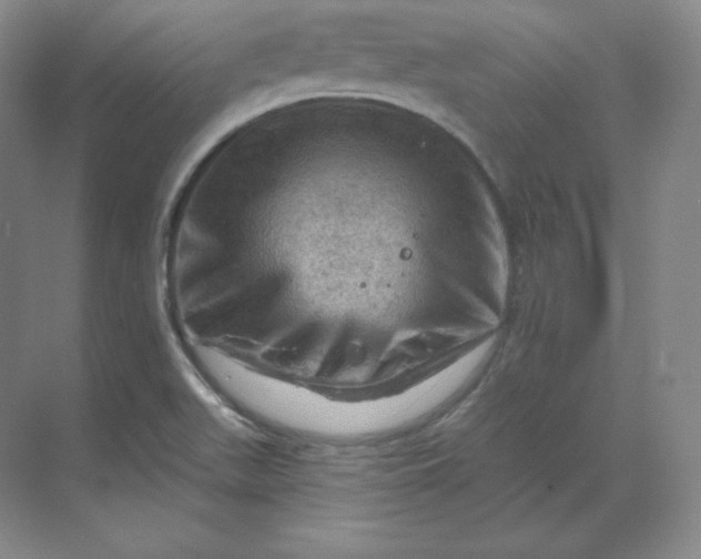 X0000068821511200605191819