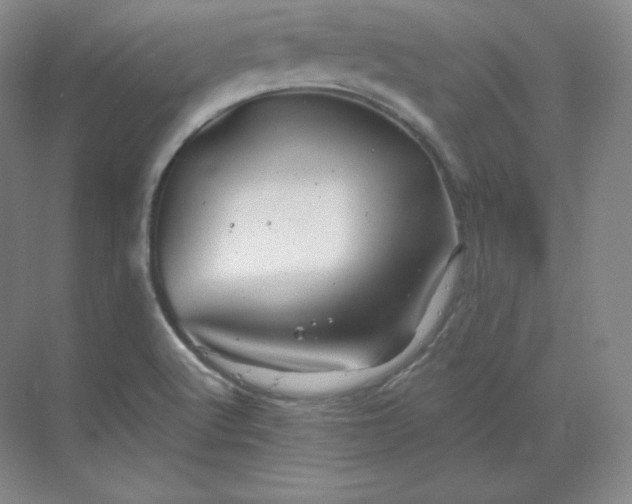 X0000068821512200605191819