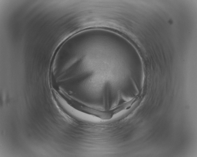 X0000068821513200605191820