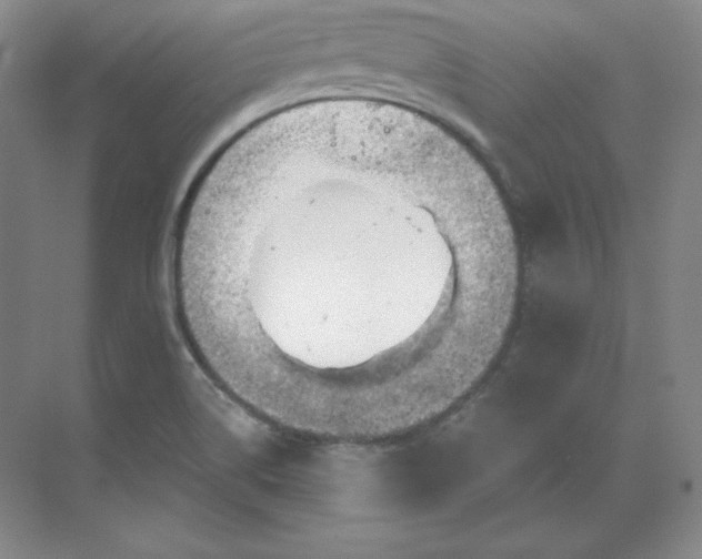 X0000068821514200605191820