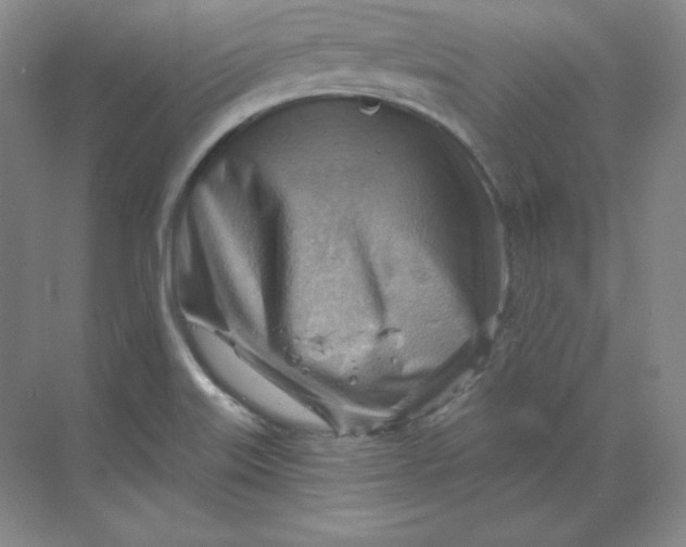 X0000068821515200605191820