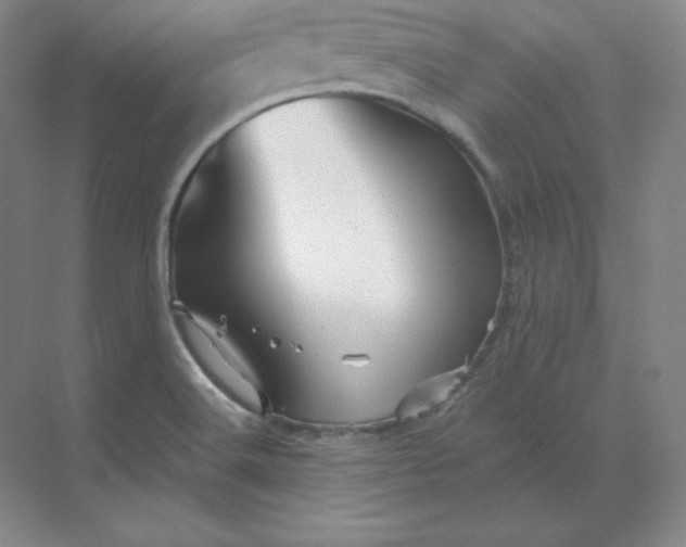 X0000068821516200605191820