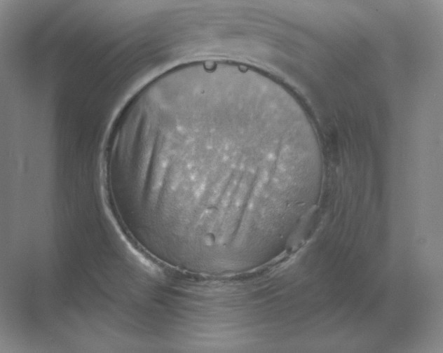 X0000068821517200605191820