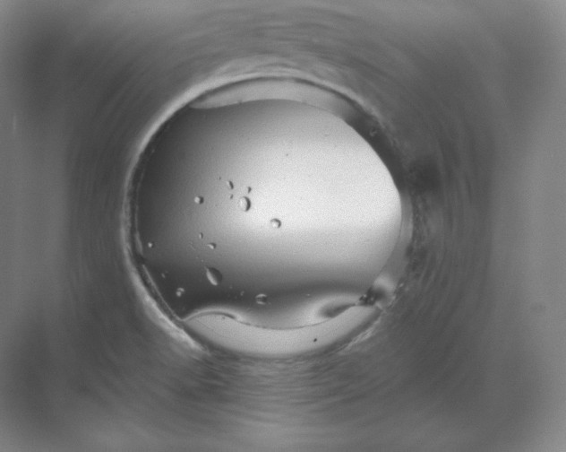 X0000068821518200605191820