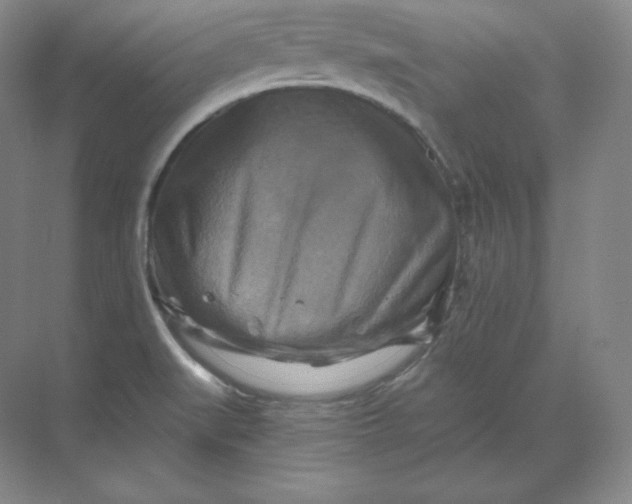 X0000068821519200605191820