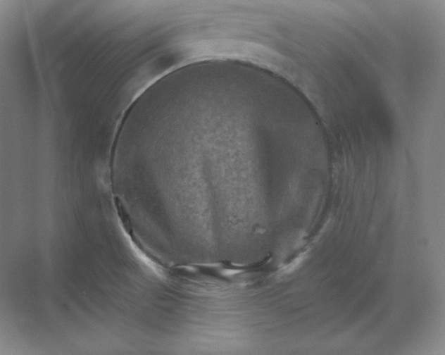 X0000068821521200605191820