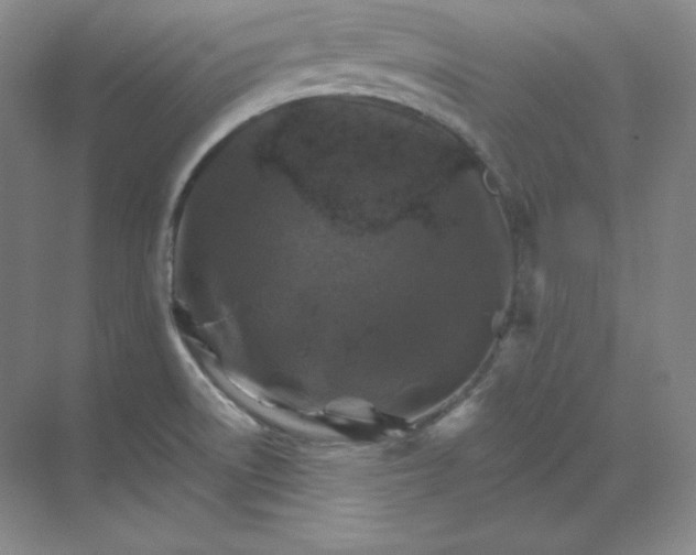 X0000068821522200605191820