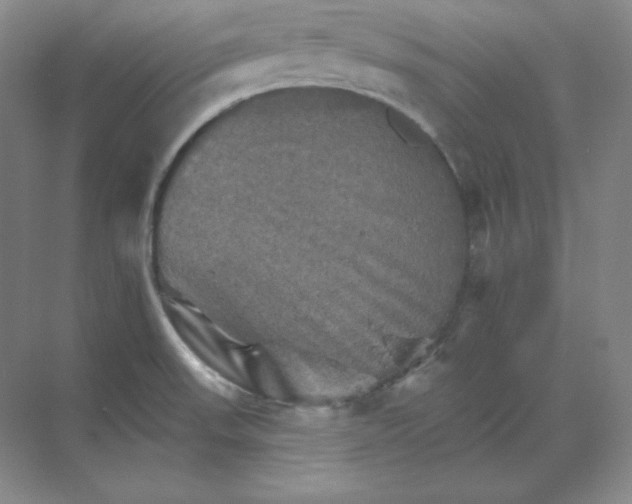 X0000068821523200605191820