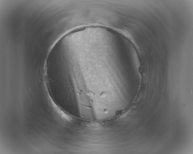 X0000068821524200605191820