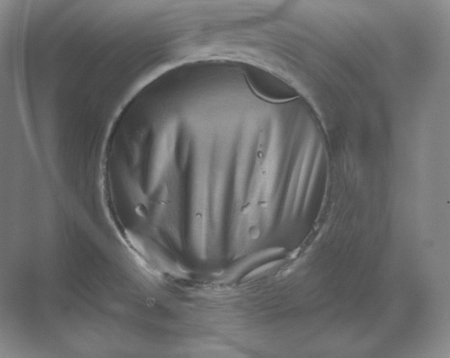 X0000068821525200605191820