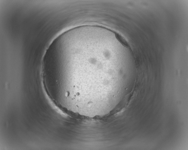 X0000068821526200605191820