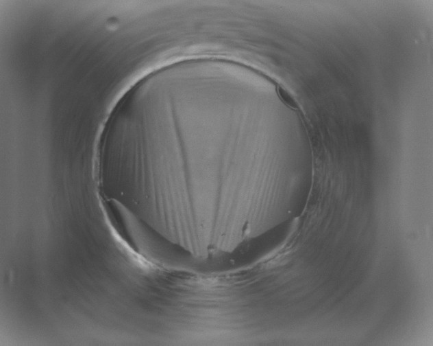 X0000068821527200605191820