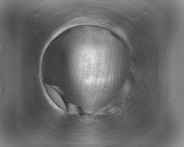 X0000068821528200605191820