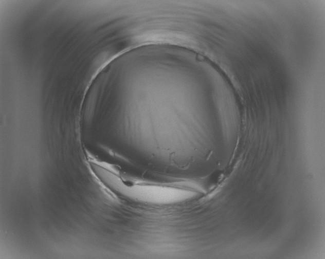 X0000068821529200605191820