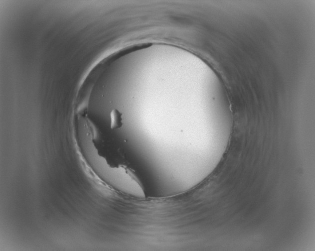 X0000068821530200605191820