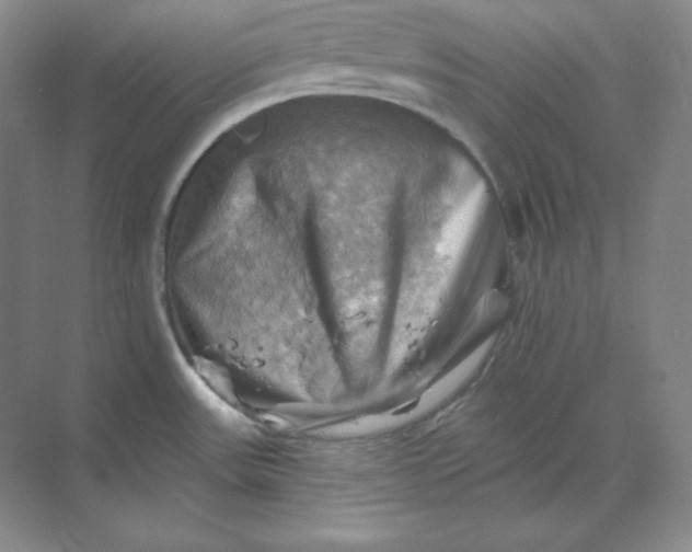 X0000068821531200605191820