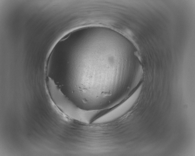 X0000068821532200605191820