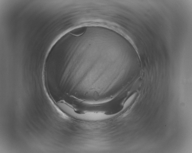 X0000068821533200605191820