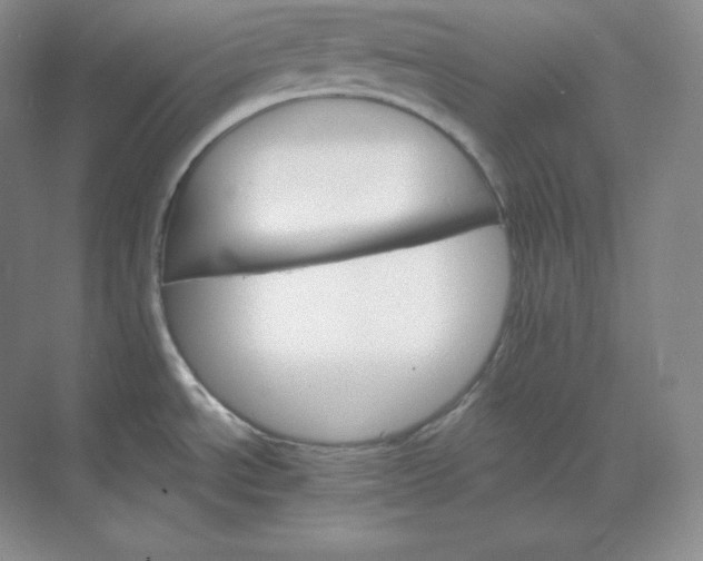 X0000068821534200605191820