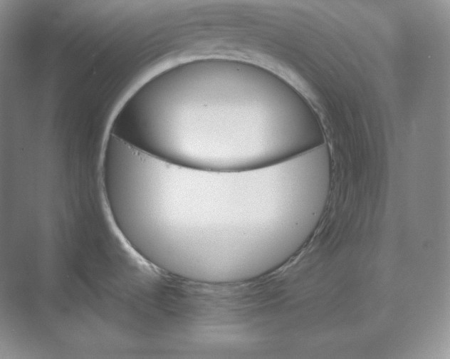 X0000068821536200605191820