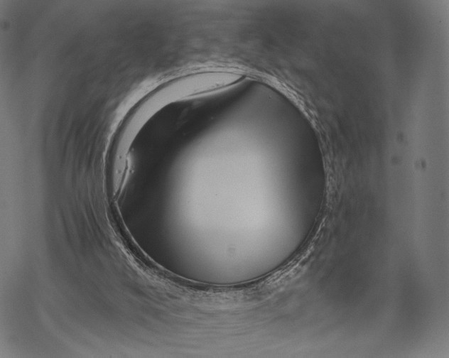 X0000068820008200605261602