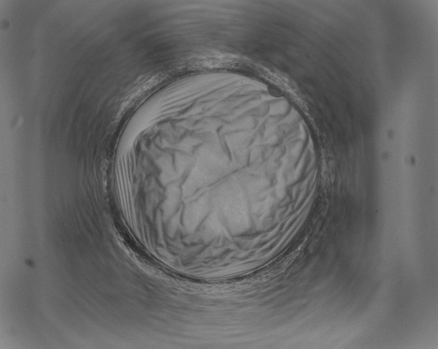 X0000068820010200605261602