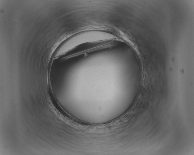 X0000068820011200605261602