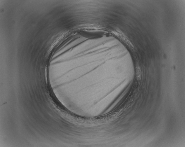X0000068820014200605261602