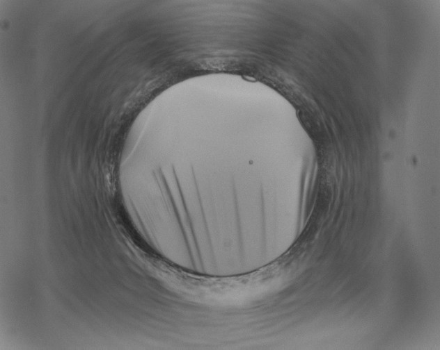 X0000068820031200605261602