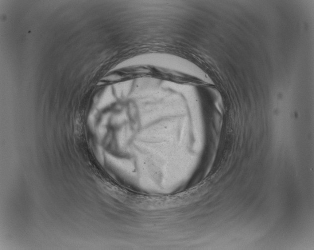 X0000068820037200605261601