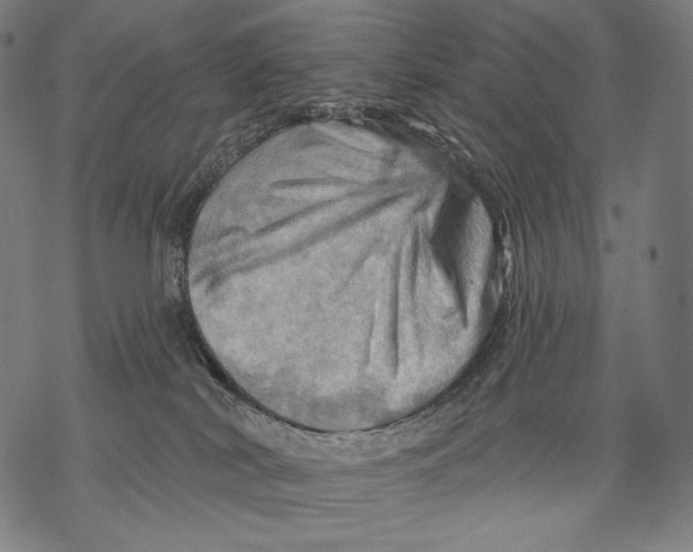 X0000068820038200605261601