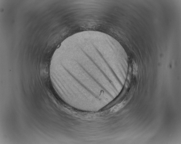 X0000068820040200605261601