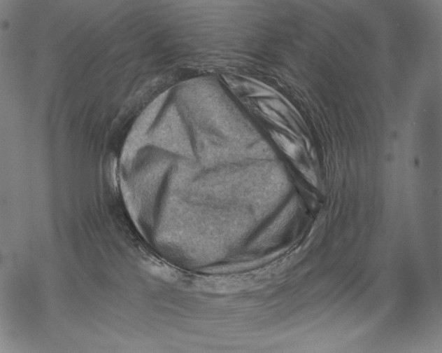 X0000068820041200605261601