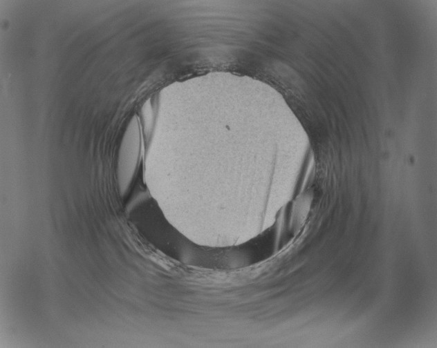 X0000068820045200605261601
