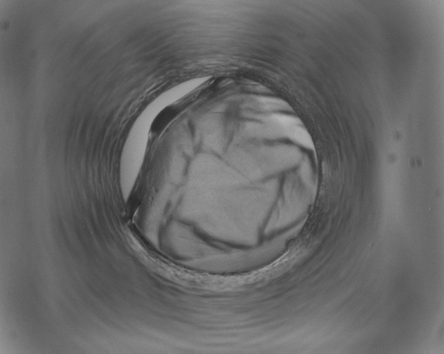 X0000068820048200605261601