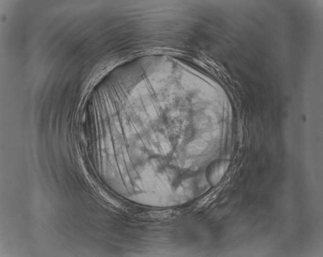 X0000068820049200605261600