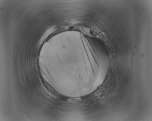 X0000068820051200605261601
