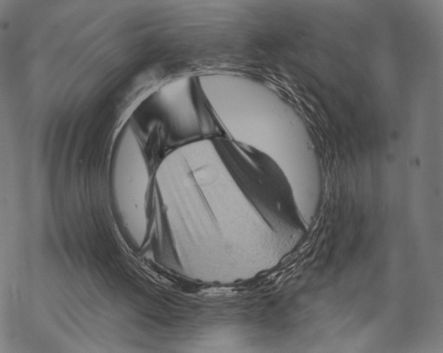X0000068820052200605261601