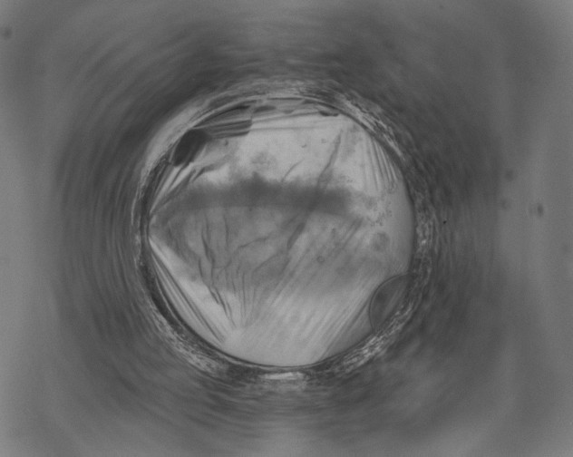 X0000068820053200605261601