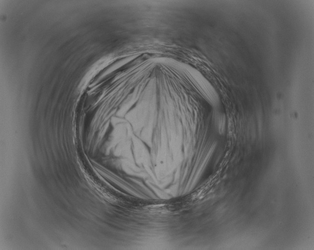 X0000068820054200605261601