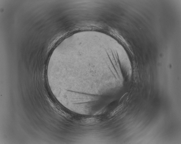 X0000068820058200605261601